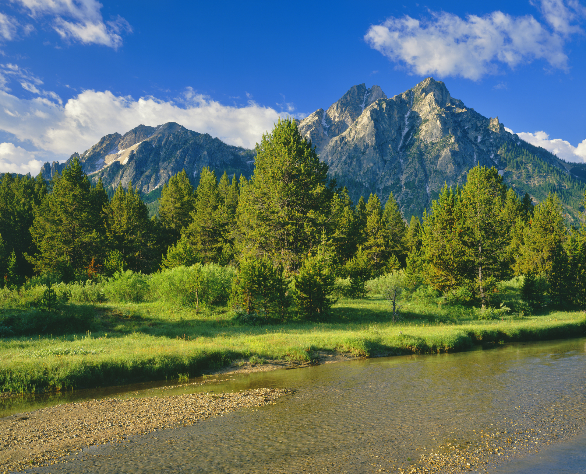 The Sawtooth Range sits in the distance in  a meadow, in the Sawtooth National Recreation Area of Stanley, Idaho.