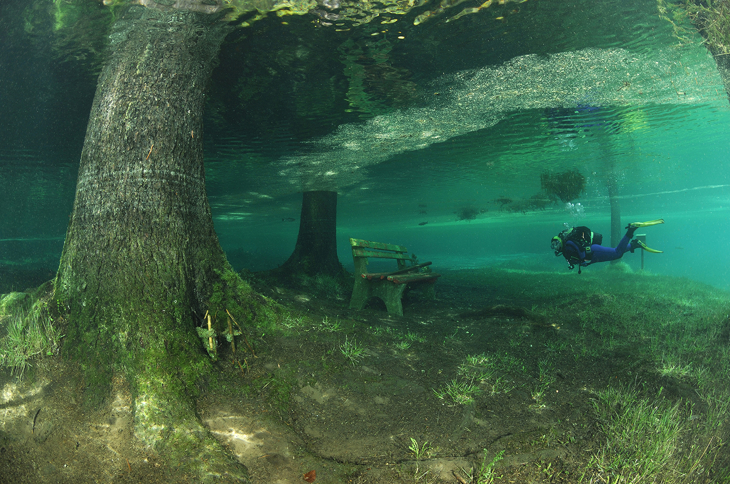 underwater wonders