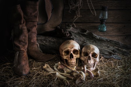 skeleton