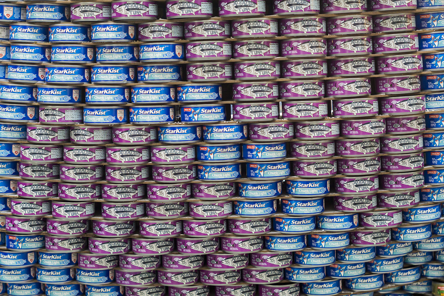 canned tuna