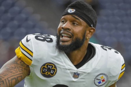 Stevan Ridley of the Pittsburgh Steelers (Getty Images) 
