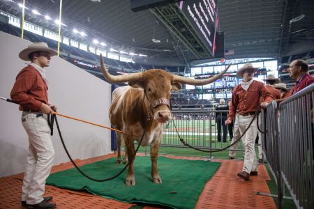 After Sugar Bowl Incident, PETA Calls for NCAA to Drop Use of Live Animal Mascots
