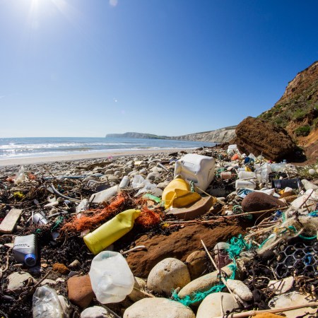 longread microplastics