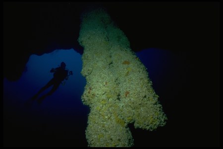 Richard Branson Found Plastic at the Bottom of the Great Blue Hole