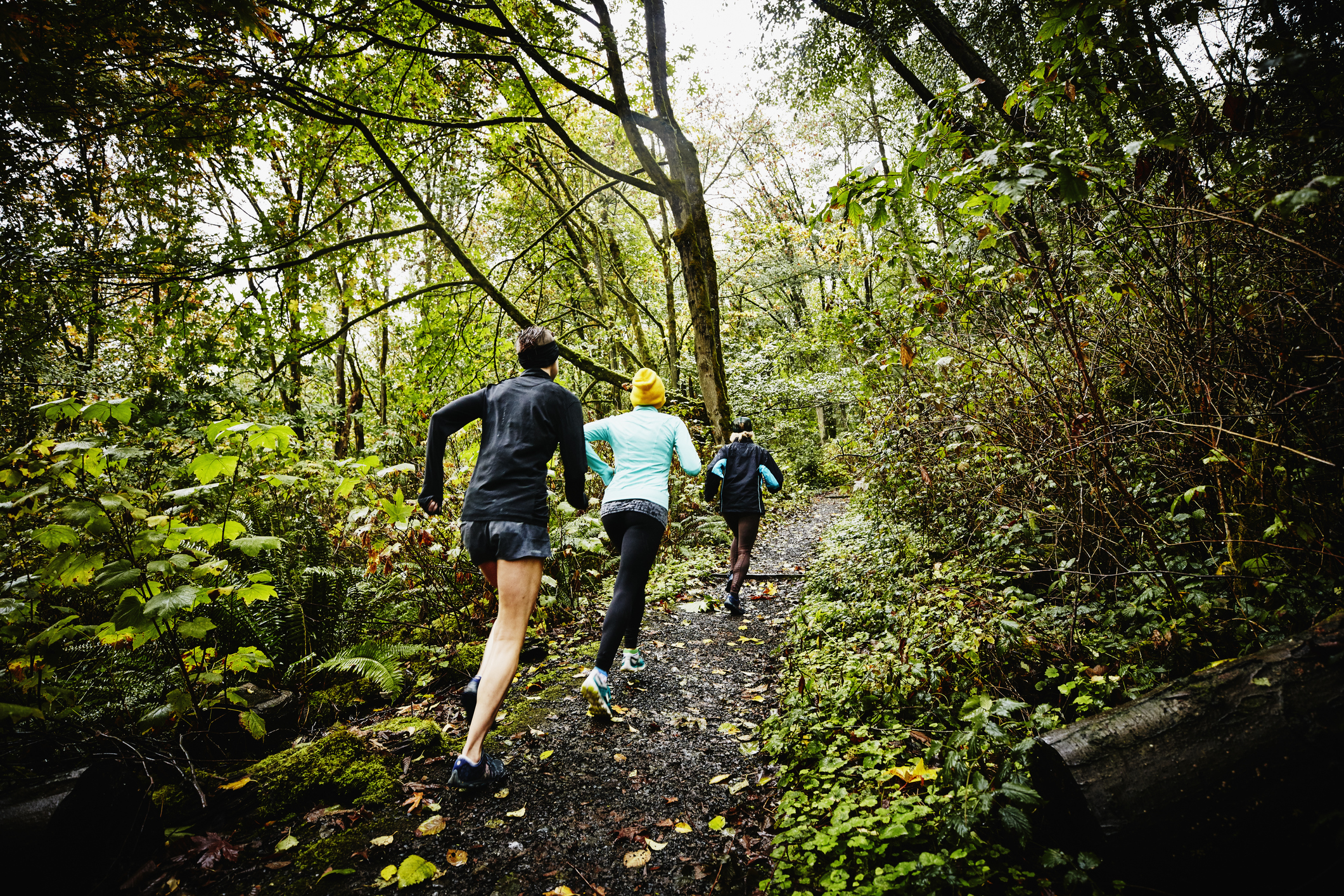 plogging