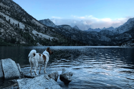 Sierra Nevada (Kinga Philipps)
