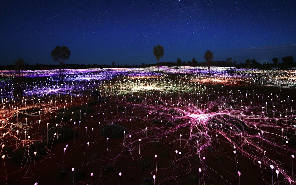 Field of Light Uluru