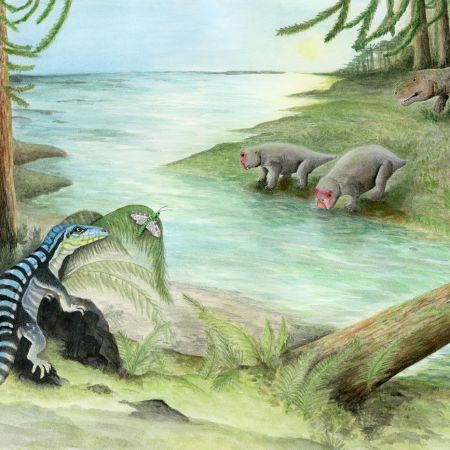 fossils