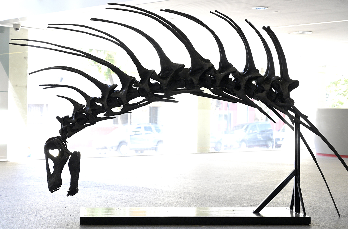 spined dinosaur
