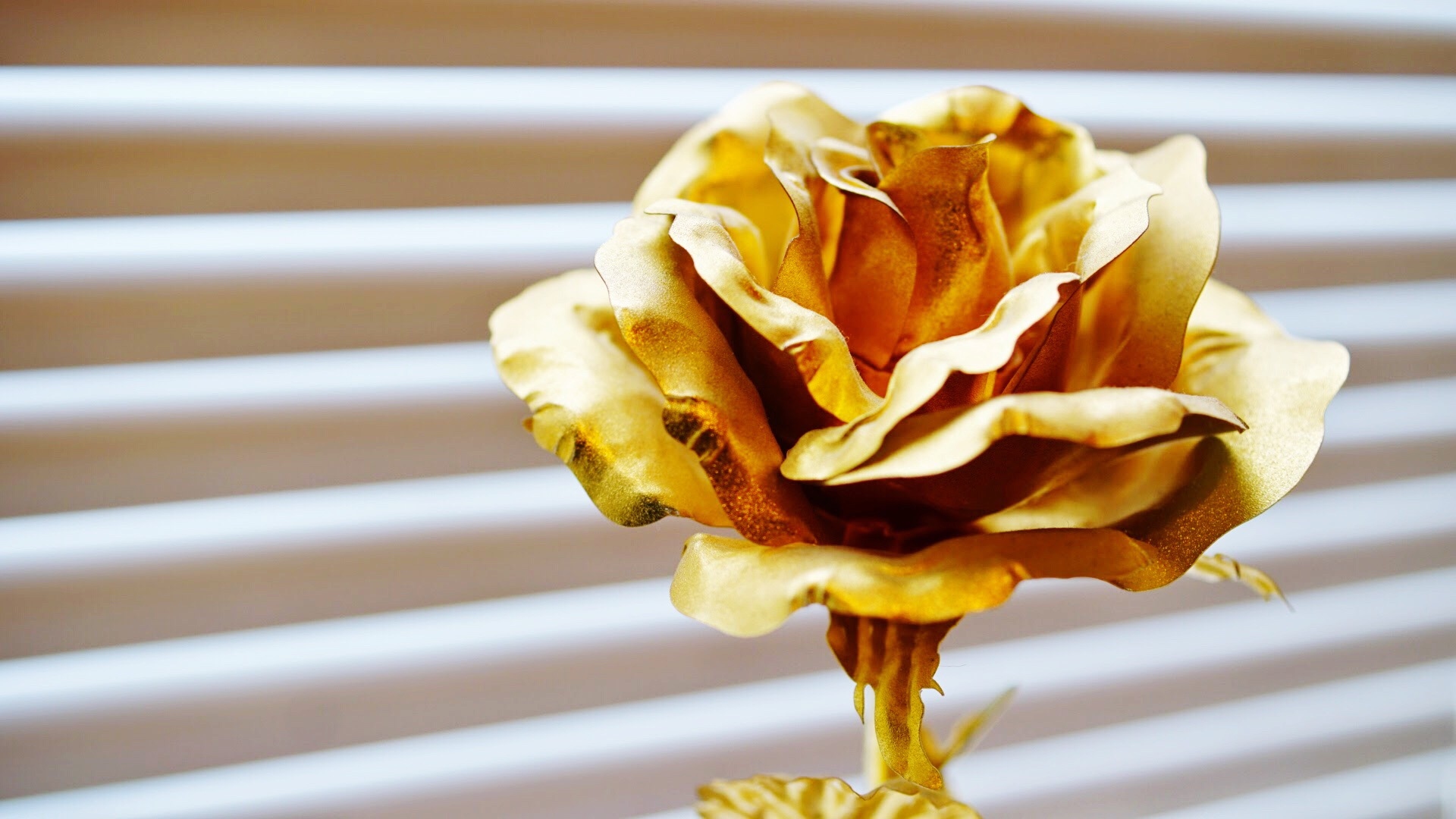 most expensive bouquet