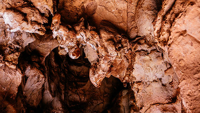The Quintessential Experiences in All 59 National Parks