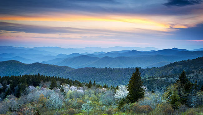 The Quintessential Experiences in All 59 National Parks