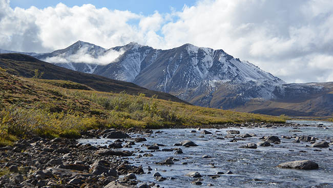 The Quintessential Experiences in All 59 National Parks