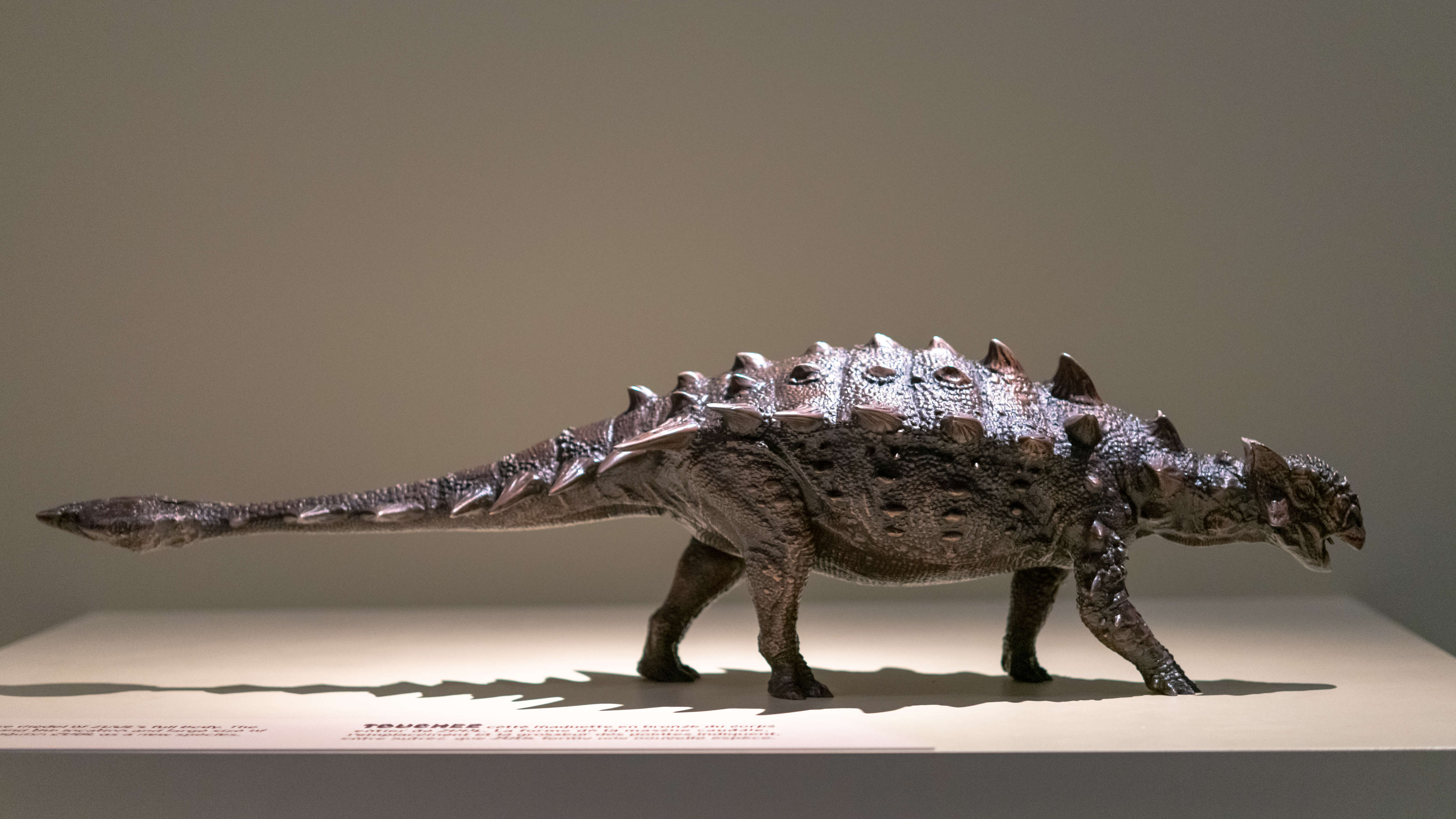 dinosaur