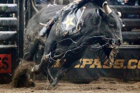 LOS ANGELES, CA - FEBRUARY 23:  Silvano Alves rides bull Hard & Fast during the Professional Bull Riders Iron Cowboy presented by Ariat on February 23, 2019, at the Staples Center, Los Angeles, CA. (Photo by Chris Elise/Icon Sportswire via Getty Images)