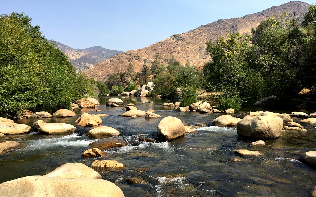 The Beginner's Guide to Fishing in LA