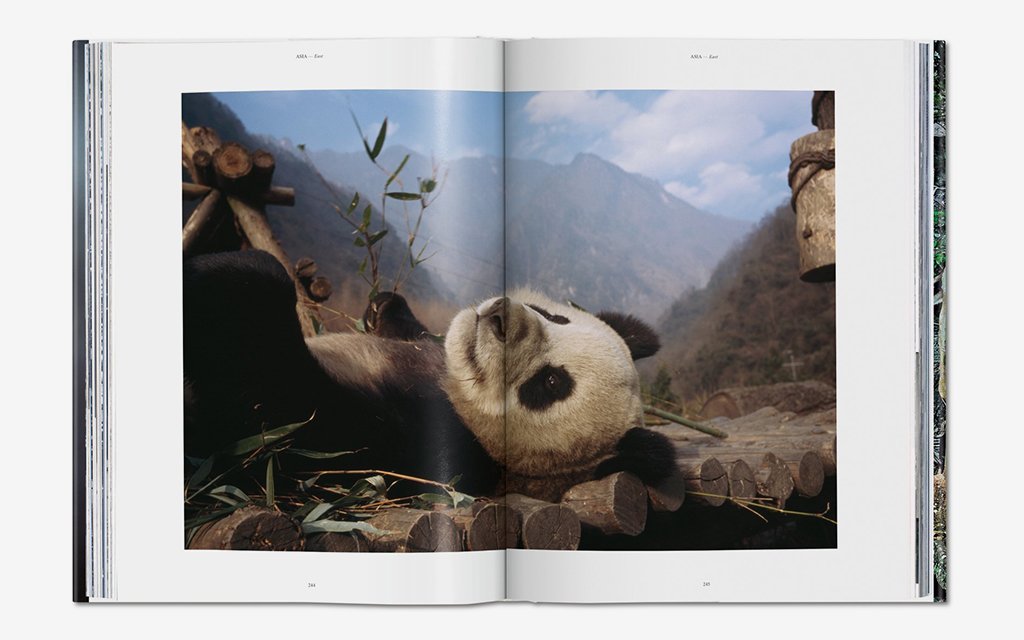 Put 125 Years of Nat Geo's Best Photos on Your Coffee Table