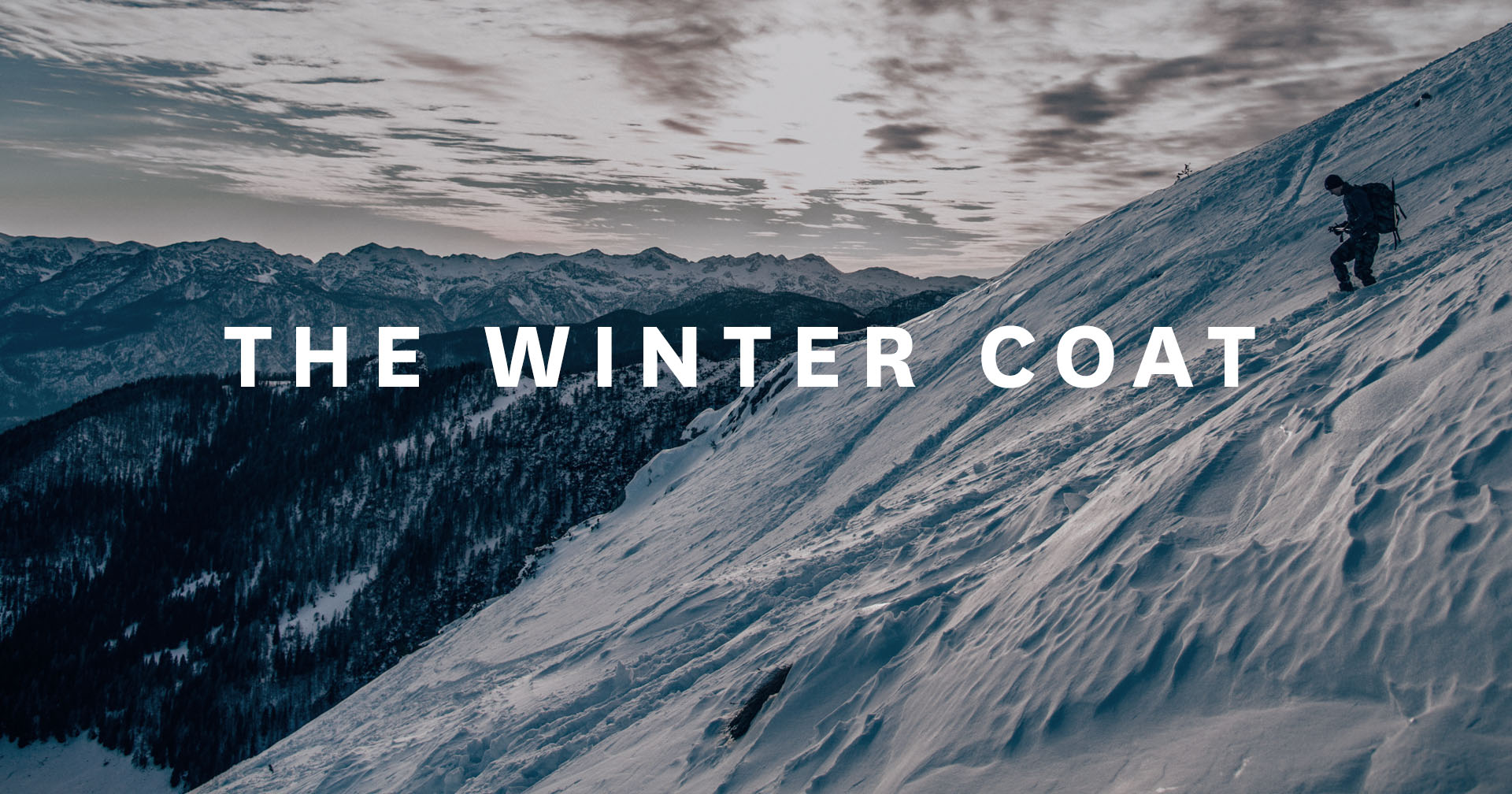 The Winter Coat