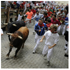 Greatbullrun