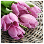 Mother's Day