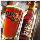 Pumpkin Ales