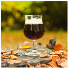 Complete Beer Course