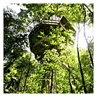 Finca Bellavista