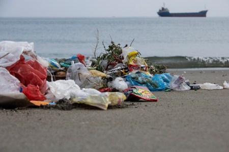 Ocean Plastic Pollution