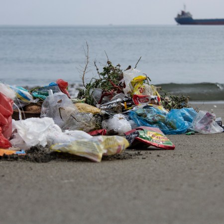 Ocean Plastic Pollution