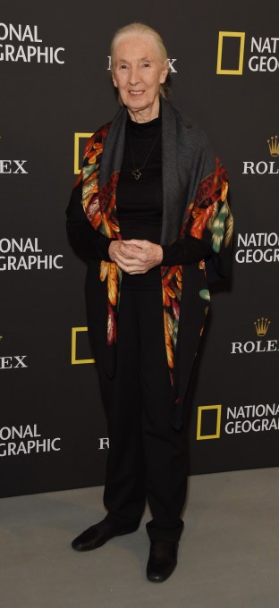 Jane Goodall birthday