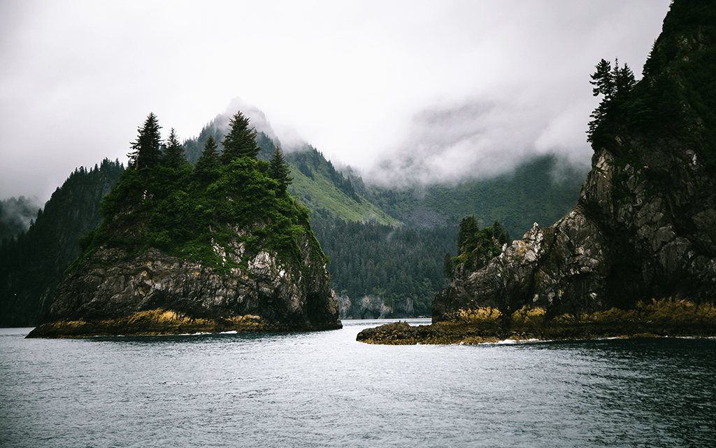Kenai Fjords National Park