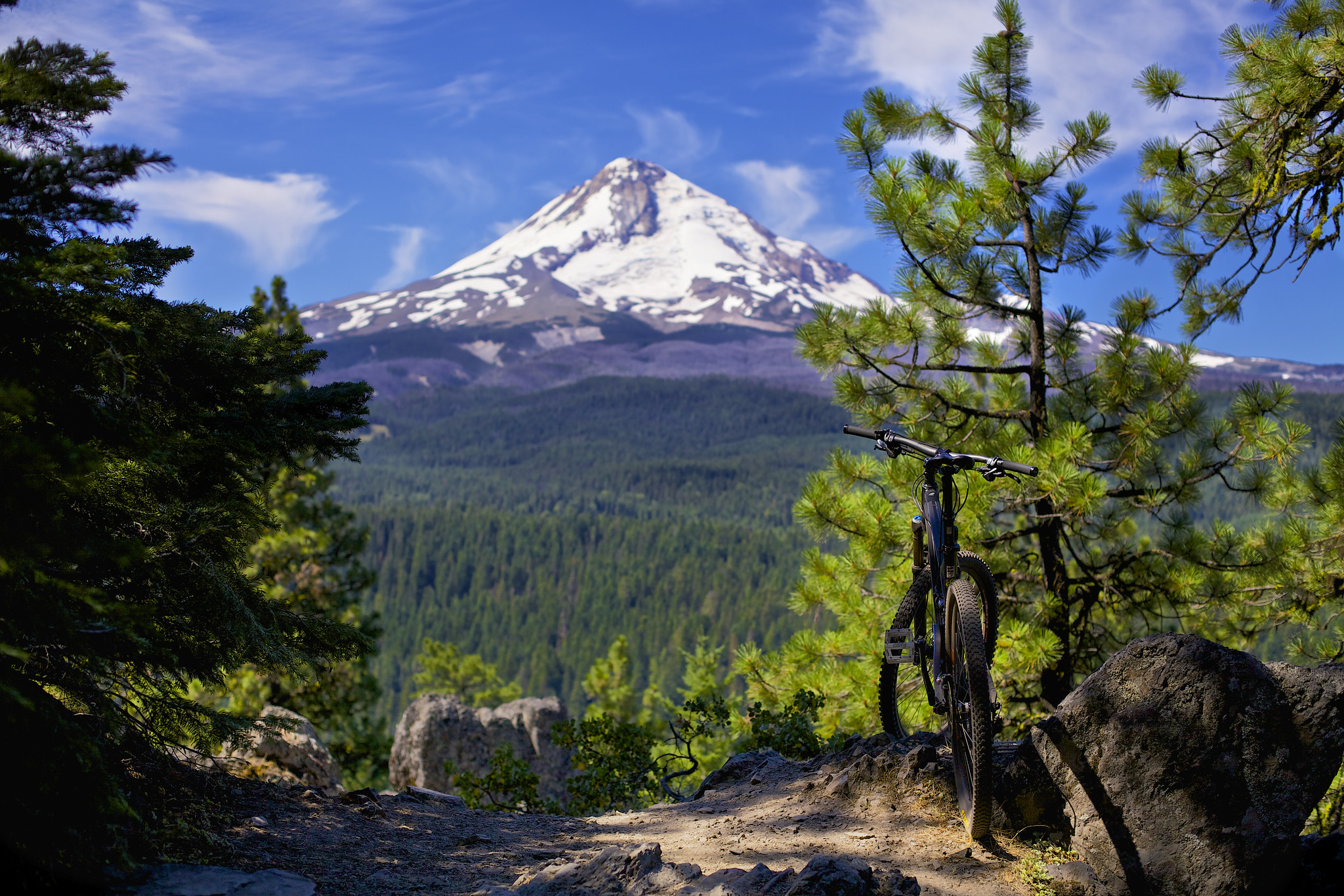 mountain biking trails