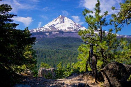 The 9 US National Forests With Certified “Epic” Biking Trails