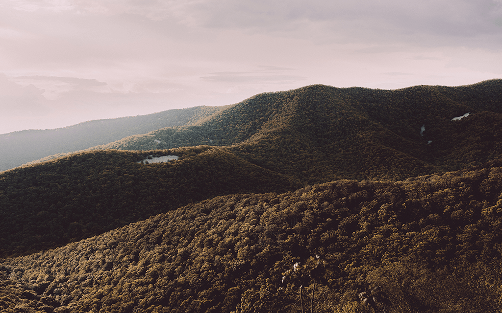 Shenandoah National Park Old Rag