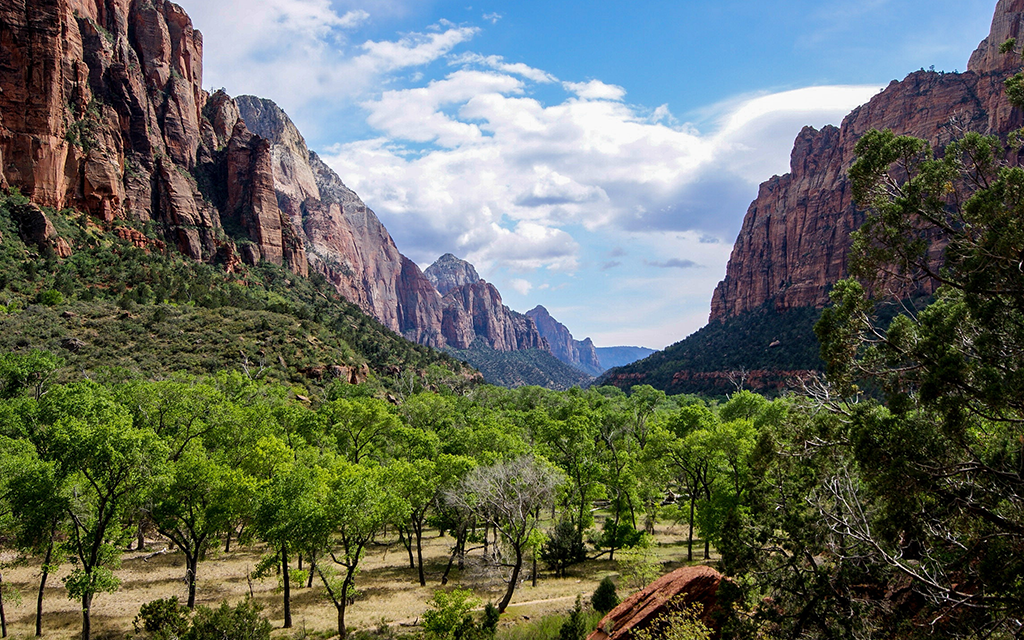 Zion National Park