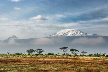 This Hypercarnivore Ruled the African Food Chain 22 Million Years Ago