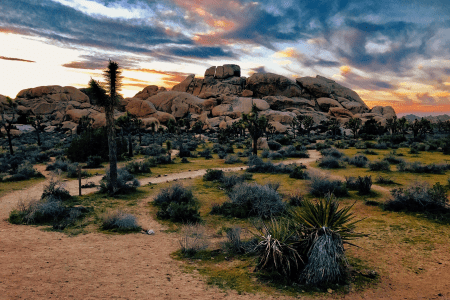 Best National Park Hikes in California