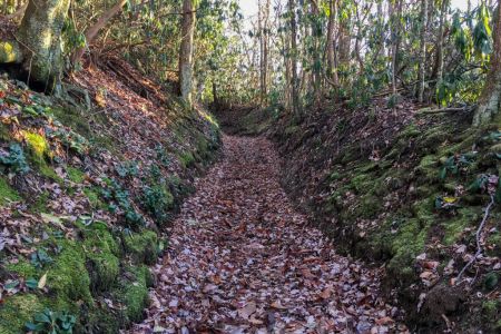 Appalachian Trail