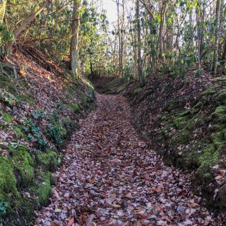 Appalachian Trail