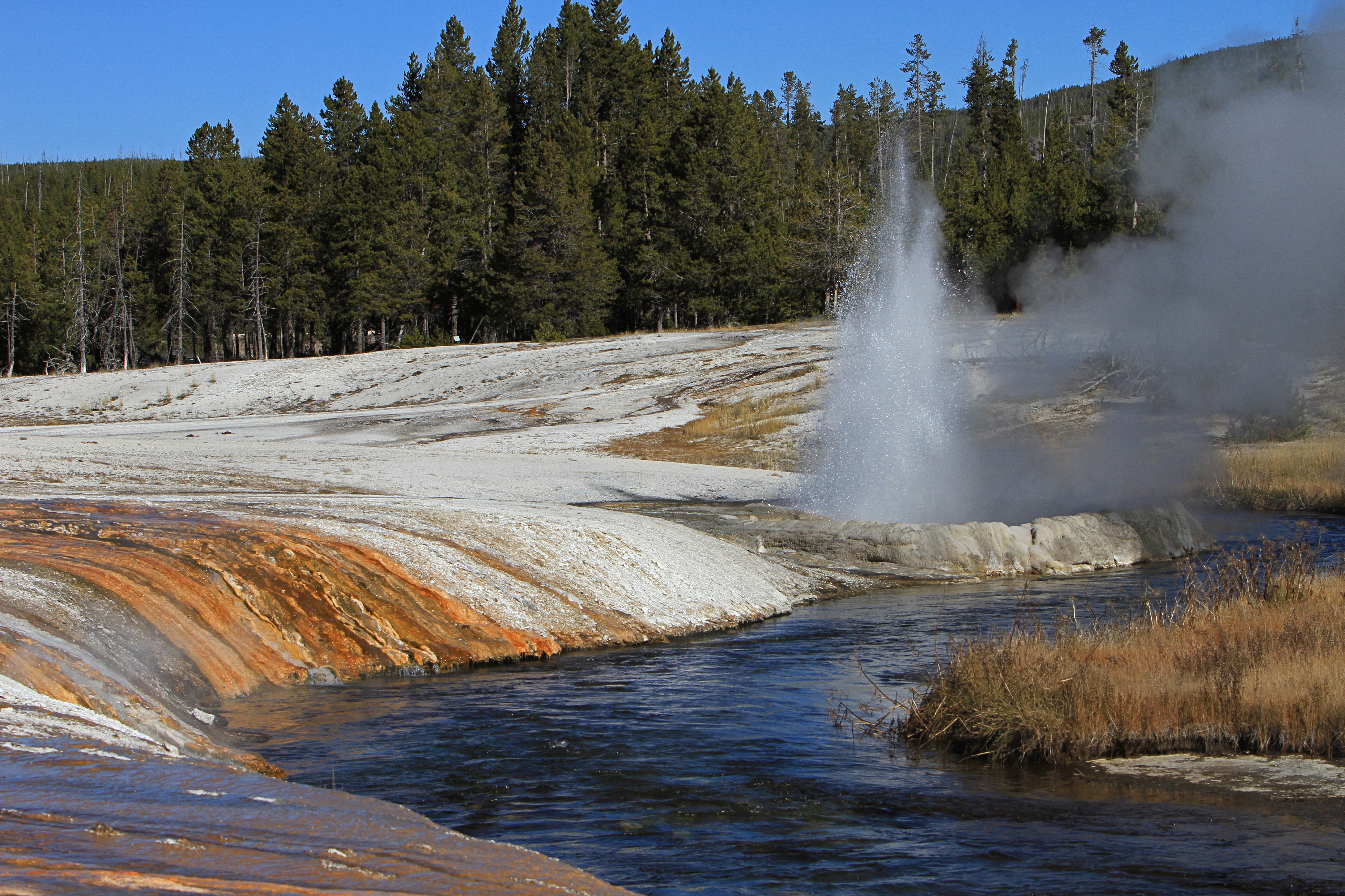 Yellowstone Geyser
