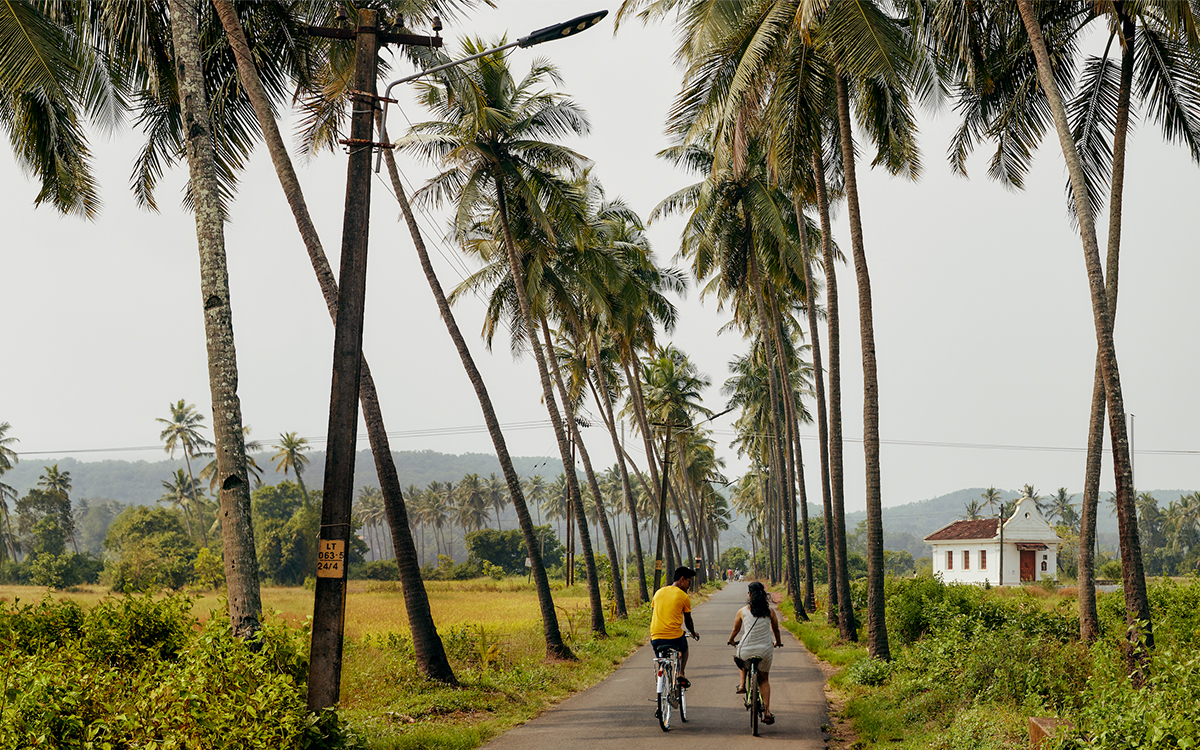 Airbnb and 23andMe Have Joined Forces on a “Heritage Travel” Campaign