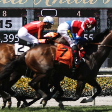 Horses at Santa Anita Park