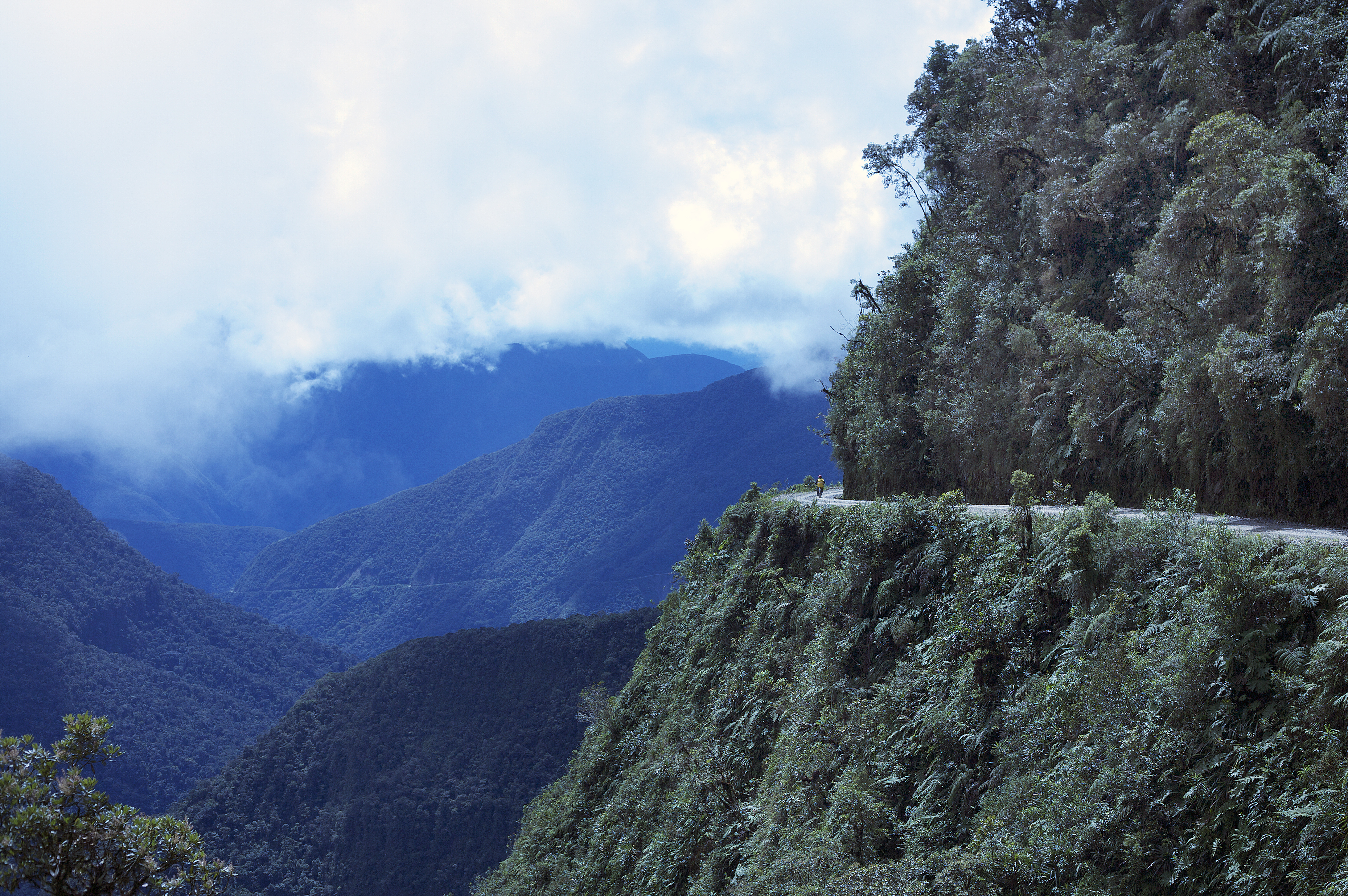 Bolivian rainforest