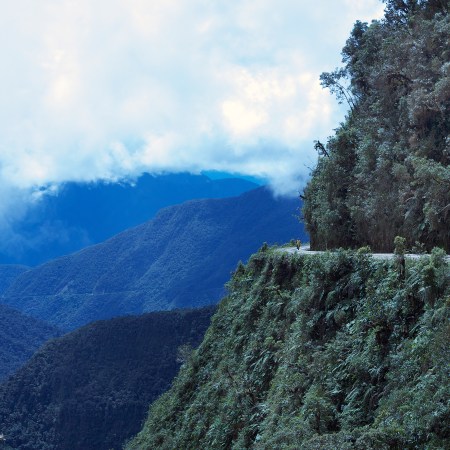 Bolivian rainforest