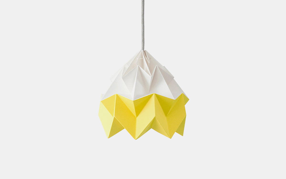 The Moth, in Autumn Yellow