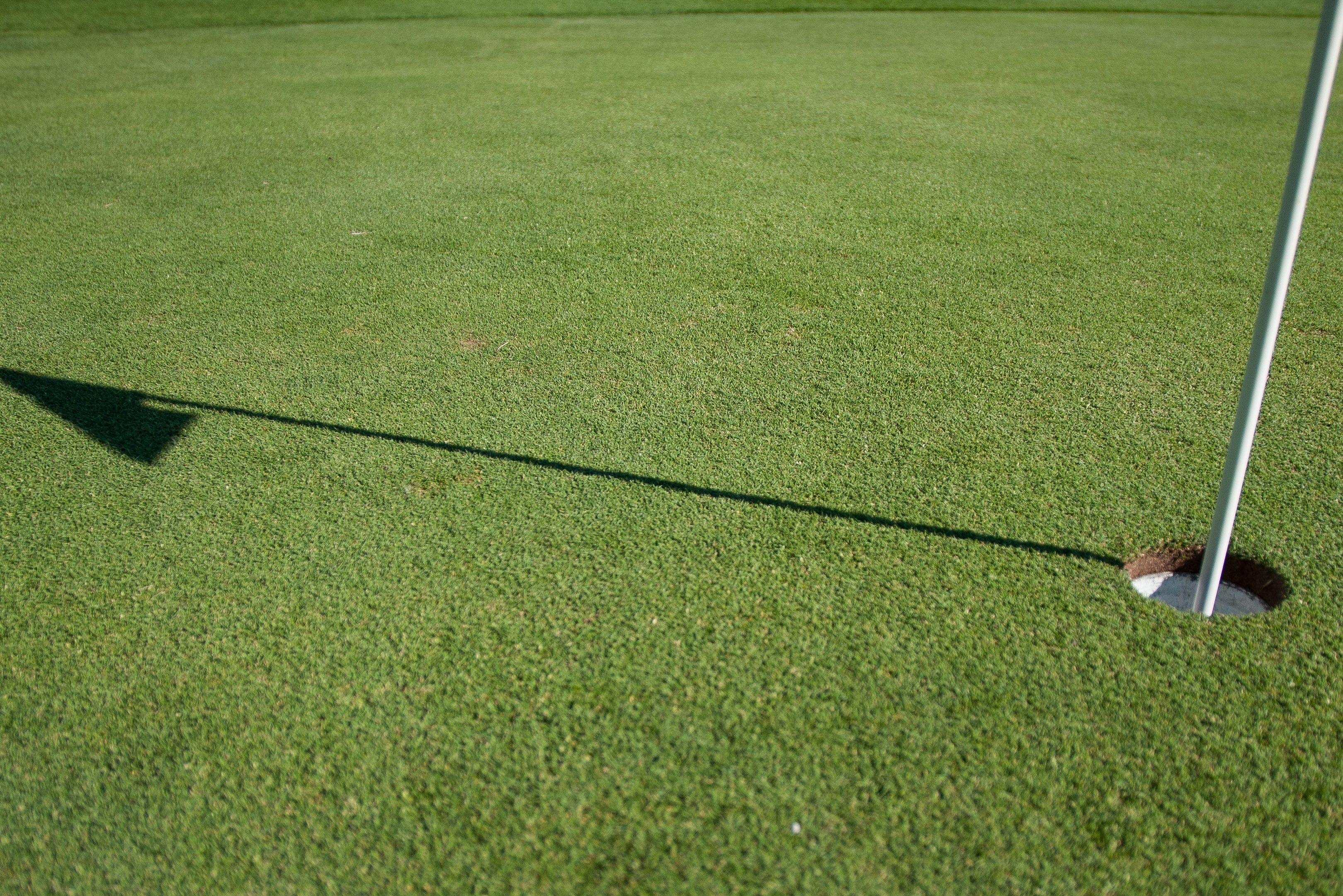 A potential hole in one. (Peter Lewicki on Unsplash)