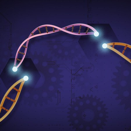 CRISPR