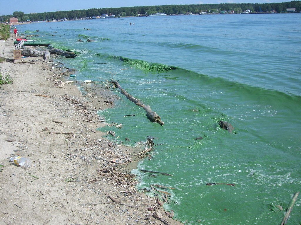 Lake