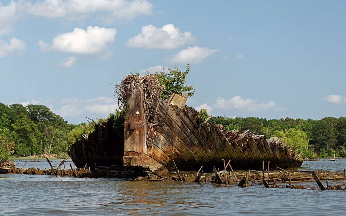 How a Bunch of Abandoned WWI Boats Became America’s Newest Marine Sanctuary