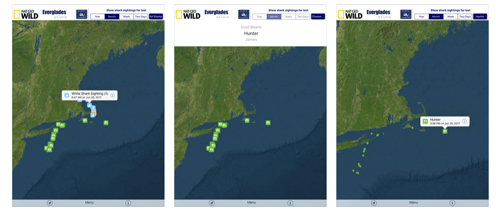 Sharktivity
